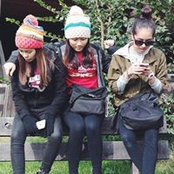 Beehuang Lim's photo
