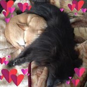 Janna Monroe's photo