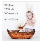 Foto von Kitti Vrg