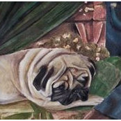 Puckinello Pugs's photo