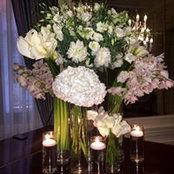 Philip Sammut's photo