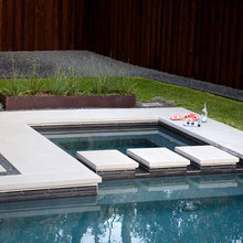 Cat mountain pool