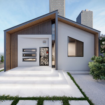 Modern Small Villa -Exterior Design