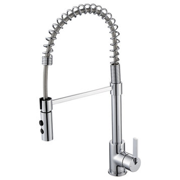 Luxier KTS22-T Single-Handle Pull-Down Sprayer Kitchen Faucet, Chrome