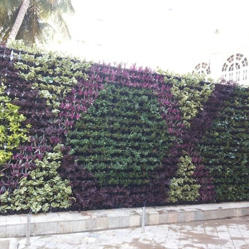 Vertical Garden in Sadashivanagar
