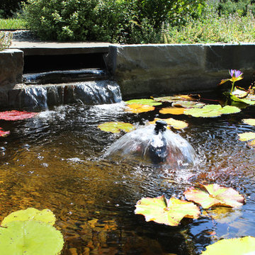Pond at Entry Way
