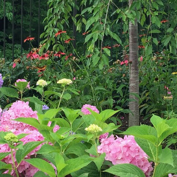 Various Plantings