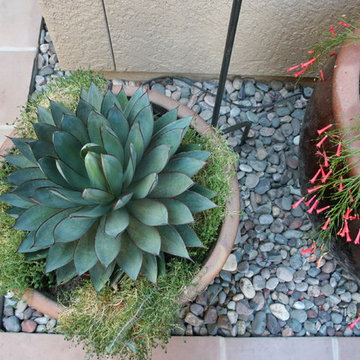 Tucson Retreat Courtyard