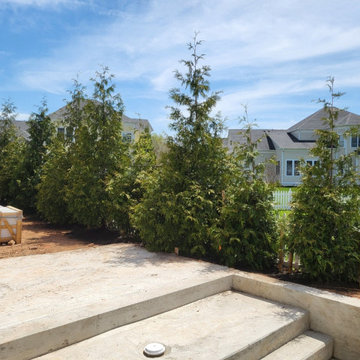 Pool Privacy Screening
