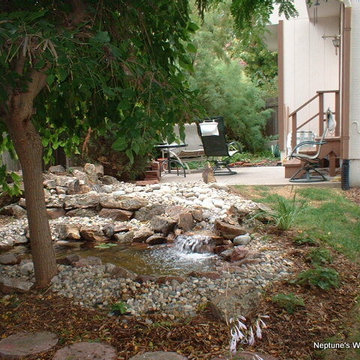Koi Ponds and Water Gardens