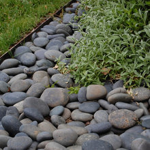 walkway