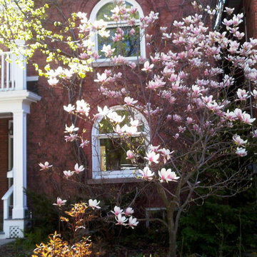Glebe house in Ottawa