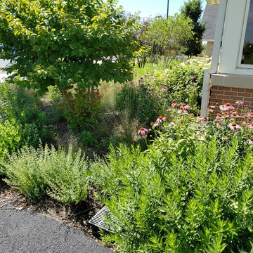Somonauk pollinator paradise