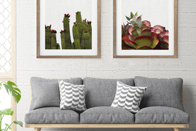Cactus Print & Red Succulent Print - Spain - Art Decor Prints