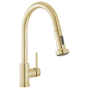 Nouvet Single Handle, Pull-Down Kitchen Faucet, Brushed Gold