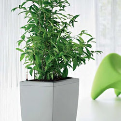 Modern Planter - Home Decor