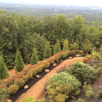 The Crane at Paris Mountain