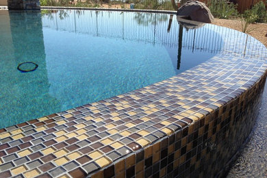 Example of a mid-sized trendy backyard stone and rectangular infinity pool design in Phoenix