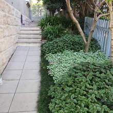 Plants