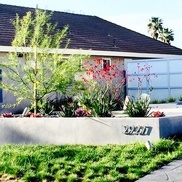 Modern Landscape