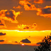 Justin Kellogg's photo