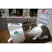 Melissa Gates's photo