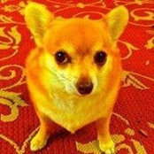 Paula Benson's photo