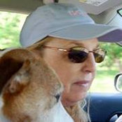 Barbra Annさんの写真
