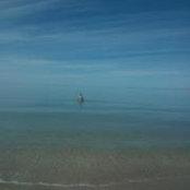 David Ibarra's photo