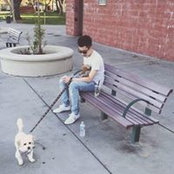 Kin Chap's photo