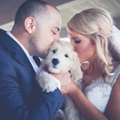Cara Holub's photo
