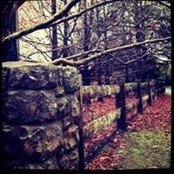 Melissa Jane's photo