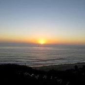 Lisa Stout's photo