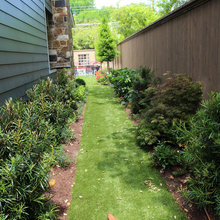 Dog Run
