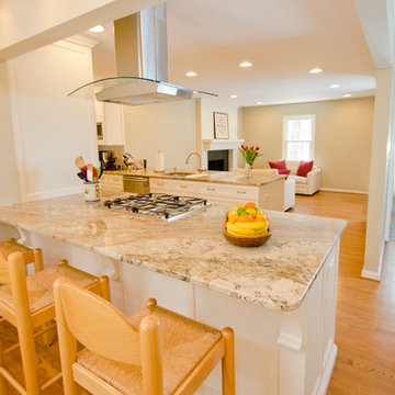 Open Concept Kitchen and Living Area