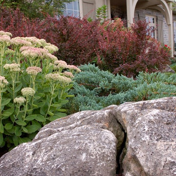 Drought resistant garden