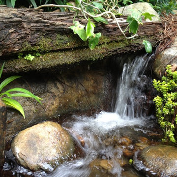 Water Features
