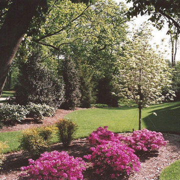 Plantings