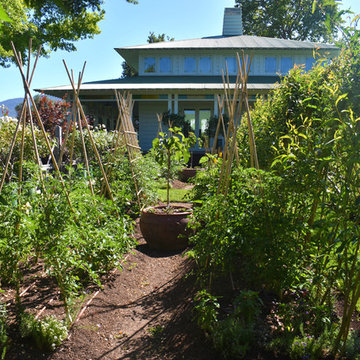 Vegetable Garden & Trellis