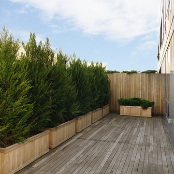 Green Penthouse in Hoboken