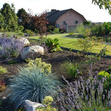 Edible Front Yard