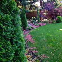 Landscape Ideas