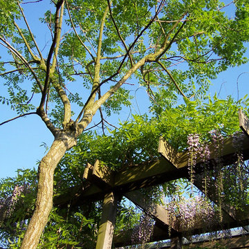 City Garden Jungle