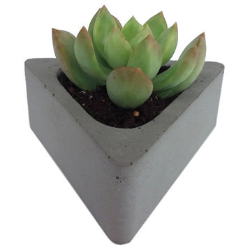 Triangular Concrete Succulent Planter, Gray