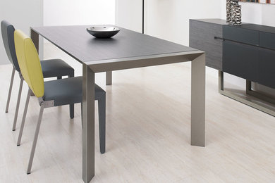 Cette image montre une salle à manger minimaliste.