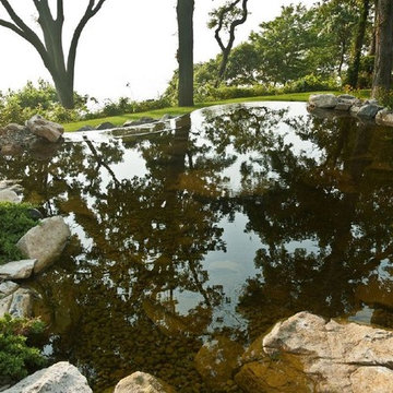 Pond Stepping Stones