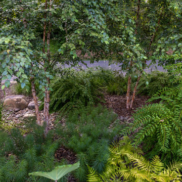 Azaroff Garden