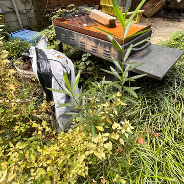 Junk Removal