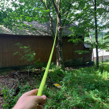 Historic Barn Restoration