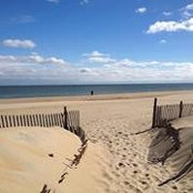 Mitzi Gruber's photo
